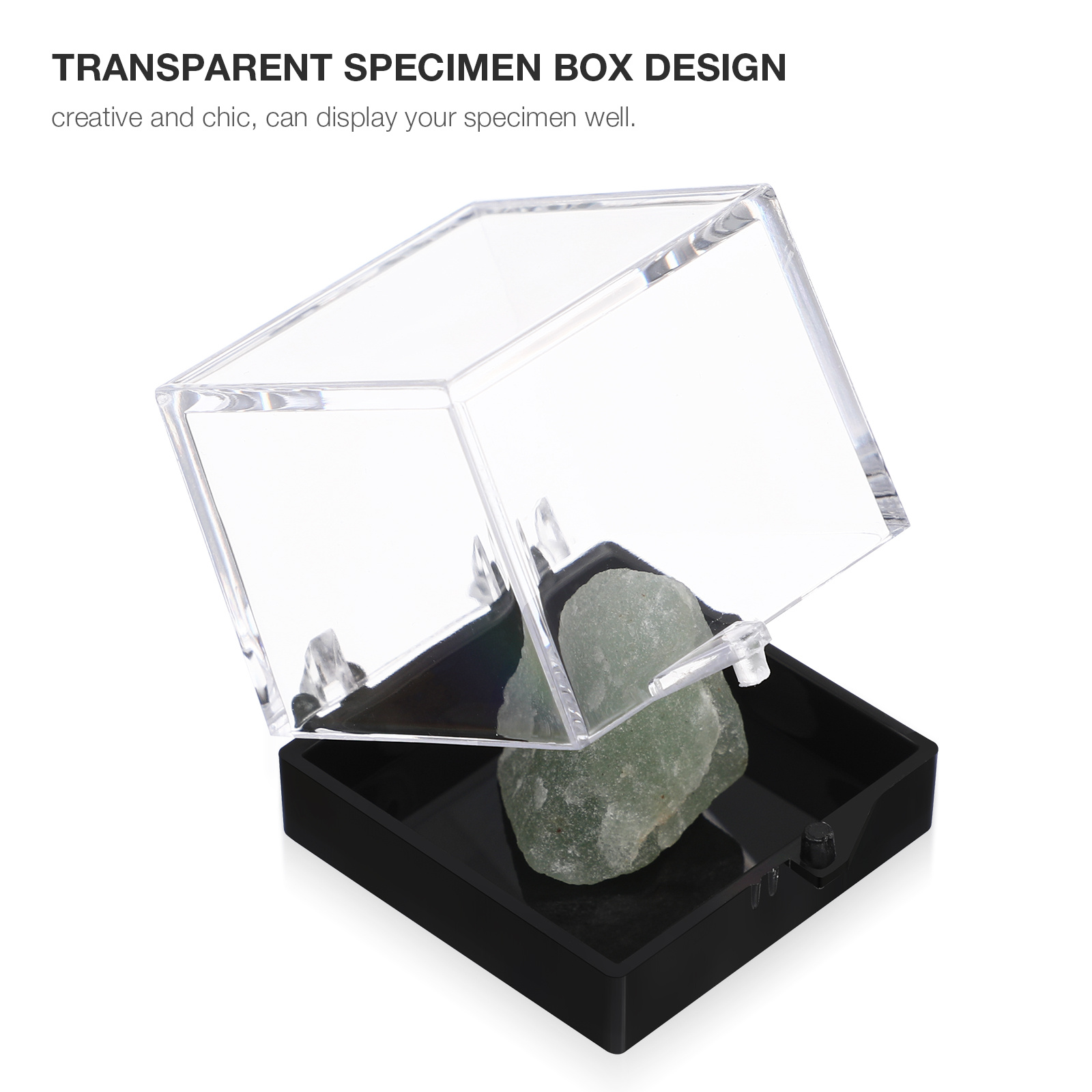 12 adet numune vitrinleri şeff - Display Case Acrylic incelemesi ve fiyatı